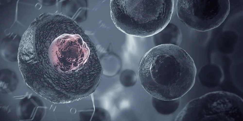 A close-up, digital illustration of several dark, spherical cells with textured surfaces. One cell, highlighted with a glowing pink center, symbolizes an active process—reflecting innovation in medycyna estetyczna Wrocław. The background is gray and abstract.